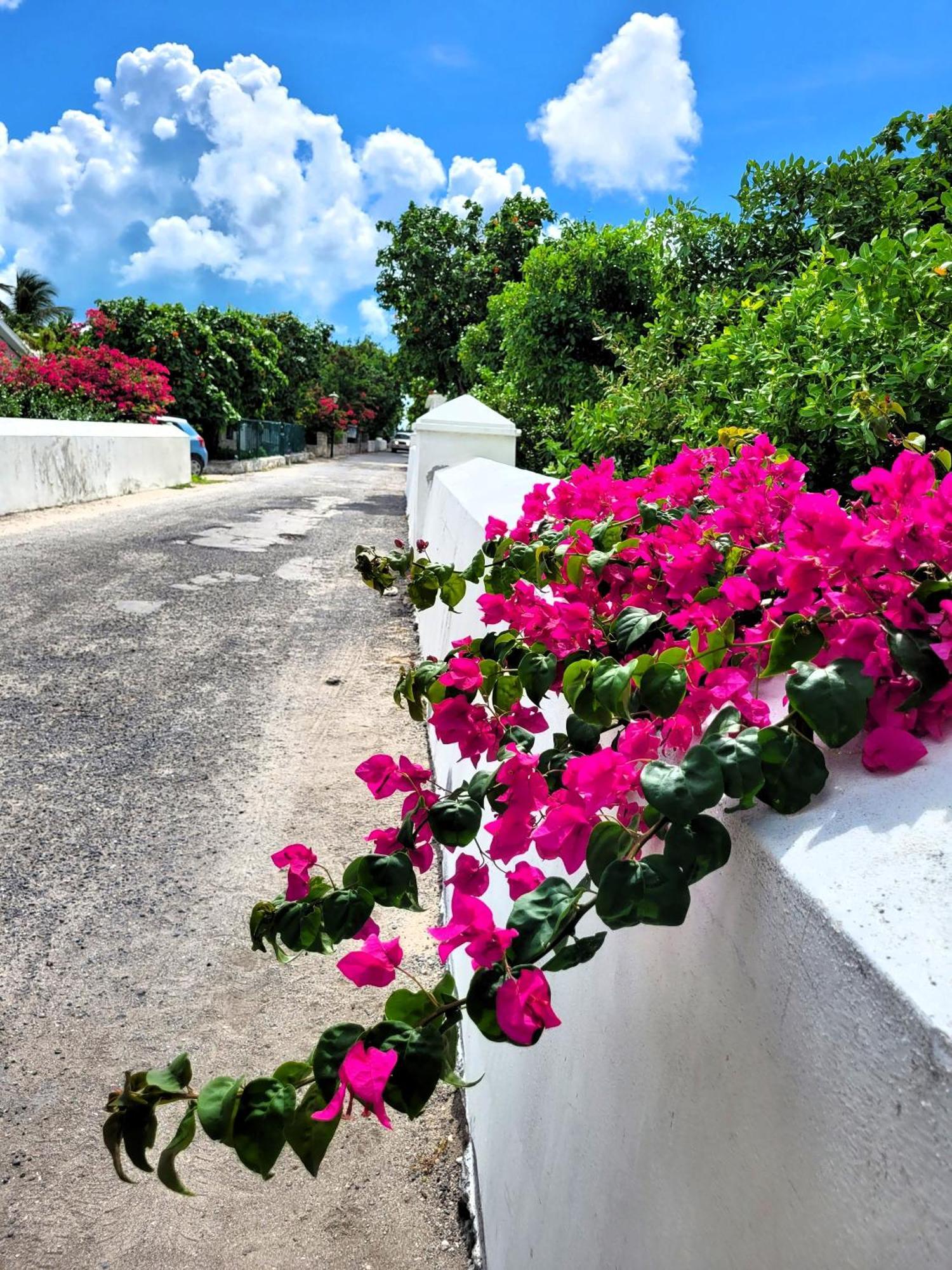 Turks Head Inne Grand Turk Exterior photo